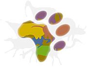 Africa Deluxe Tours - Southern and Eastern African tours, safari and other tourism products